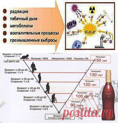 Зашлаковка, токсины, интоксикация.