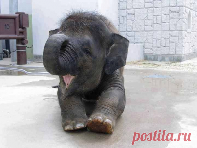 Cuteness overload!