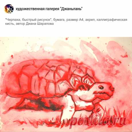 раздел &quot;черепахи&quot;
