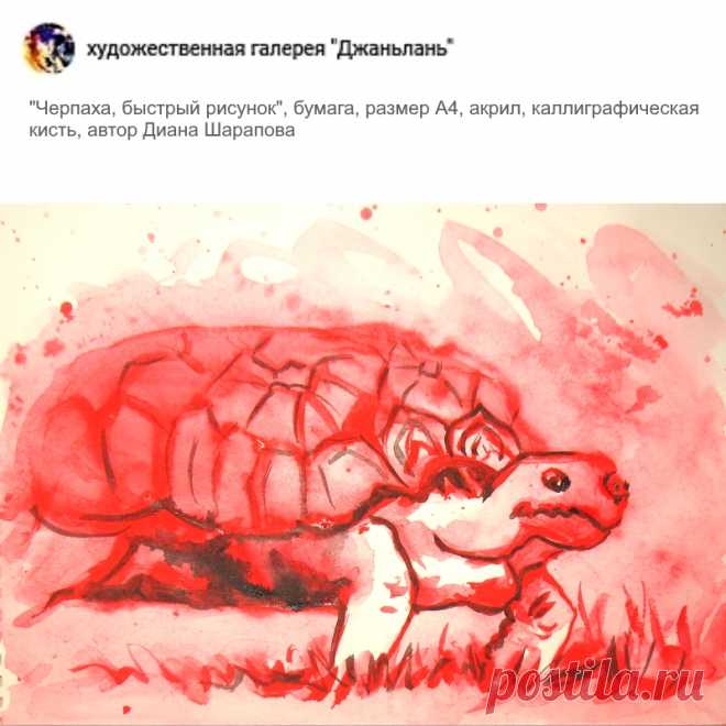 раздел "черепахи"