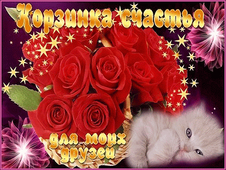 (100) Мой Мир@Mail.Ru