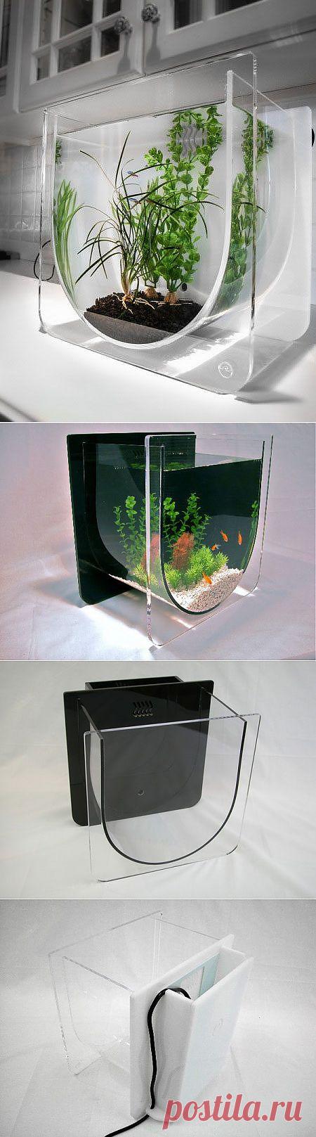 Очень интересный аквариум / Я - суперпупер