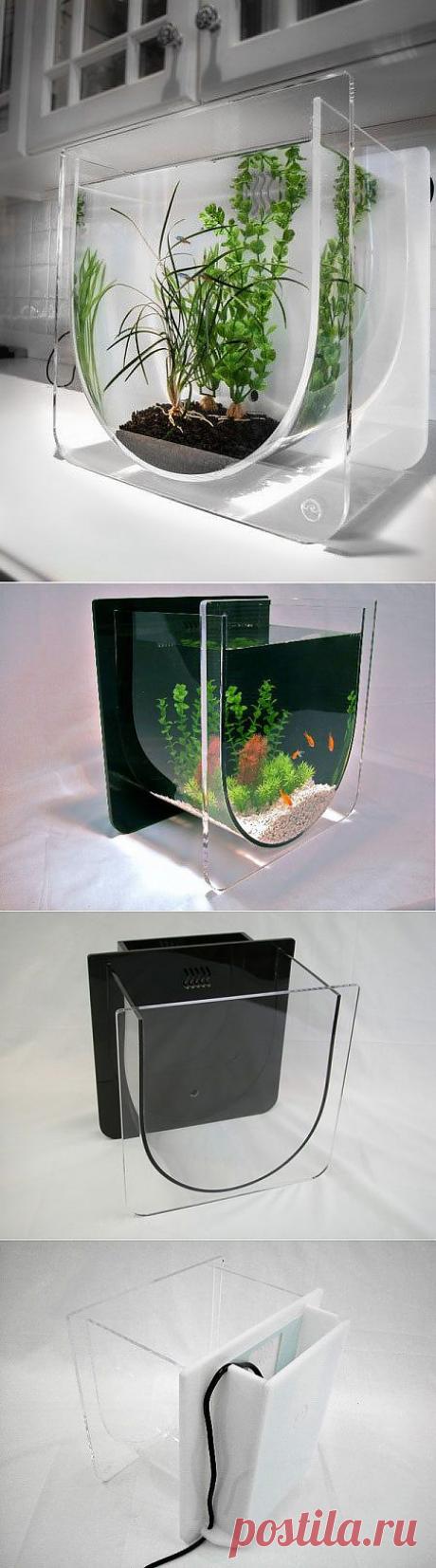 Очень интересный аквариум / Я - суперпупер