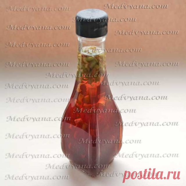 Настойки из алоэ с медом, вином и зверобоем: рецепты с фото