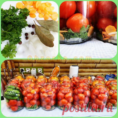Маринованные помидоры По-болгарски отзывы, где купить, цена, развод ли?