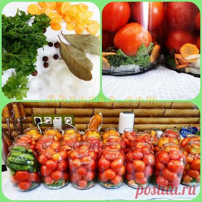 Маринованные помидоры По-болгарски отзывы, где купить, цена, развод ли?