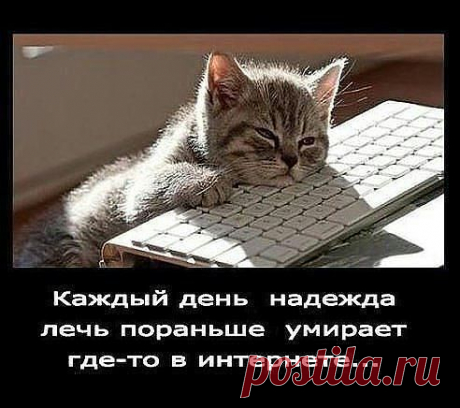 сНЕЖНЫЙ БАРС
36 лет, Россия, тверь