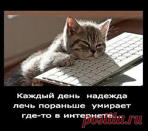 сНЕЖНЫЙ БАРС
36 лет, Россия, тверь