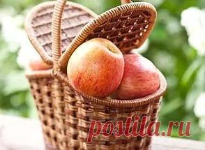 Хороший урожай яблок? Мы знаем, как их довезти до дома и
сохранить до зимы!
Сегодняшний выпуск посвящен теме упаковки, транспортировки,
хранению овощей и фруктов. Гость номера - яблоко. Тема особенно актуальна в
период сбора урожая. 
Как сохранить яблоки в квартире? 
Правило первое. Отбирайте на длительное хранение только
зимние сорта яблок. Такие сорта могут сохранять свежесть 5-8 месяцев. 
Правило второе. Не переносите тару с яблоками из теплого
помещения в холодное и обратно. Яблоки не лю