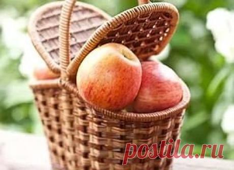 Хороший урожай яблок? Мы знаем, как их довезти до дома и
сохранить до зимы!
Сегодняшний выпуск посвящен теме упаковки, транспортировки,
хранению овощей и фруктов. Гость номера - яблоко. Тема особенно актуальна в
период сбора урожая. 
Как сохранить яблоки в квартире? 
Правило первое. Отбирайте на длительное хранение только
зимние сорта яблок. Такие сорта могут сохранять свежесть 5-8 месяцев. 
Правило второе. Не переносите тару с яблоками из теплого
помещения в холодное и обратно. Яблоки не лю