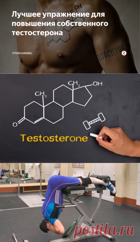 Лучшее упражнение для повышения собственного тестостерона | fitnechannel | Яндекс Дзен
