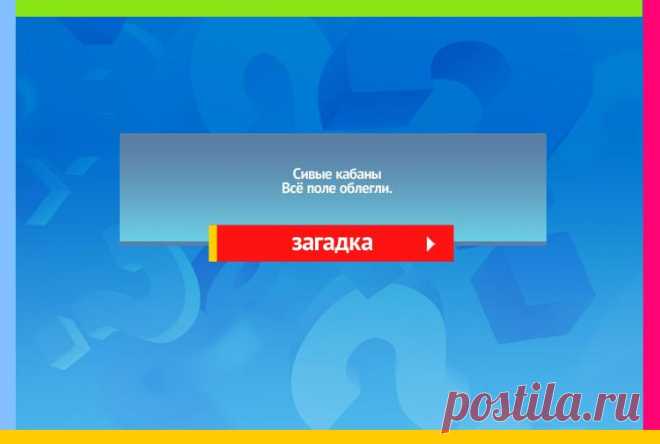 Сивые кабаны Всё поле облегли - Загадка