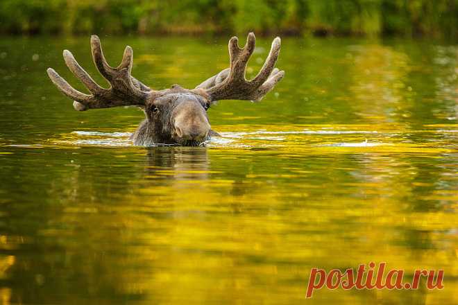 100 BEST ART PHOTOS #35AWARDS 2015