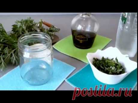 НАСТОЙКА МАЙСКОЙ ПОЛЫНИ ОТ ГЕЛЬМИНТОВ, ЛЕНТОЧНЫХ ЧЕРВЕЙ, ГРИБКОВ..НАРОДНАЯ МЕДИЦИНА.