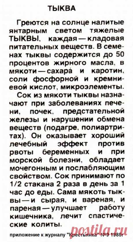 Тыква - лечебные свойства