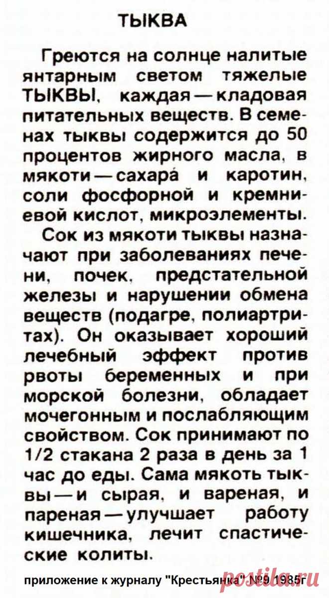 Тыква - лечебные свойства