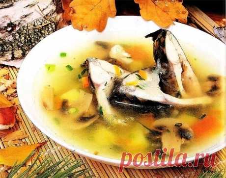 РЫБНАЯ УХА С ГРИБАМИ. ЗАБЫТАЯ КУХНЯ.