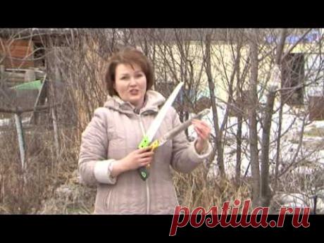 Весенние работы в саду - YouTube
