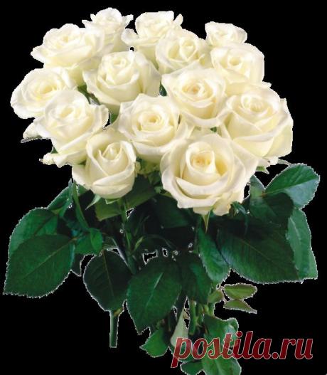 84976377_large_7dbe814f407a.png (611×700)