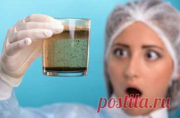 Вот почему нельзя кипятить воду дважды! — Домашние заботы