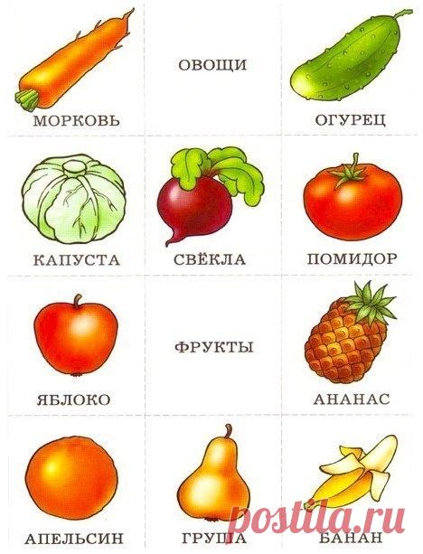 Разложи по группам - Поделки с детьми | Деткиподелки