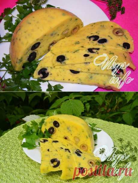 Вкусный твердый сыр в домашних условиях