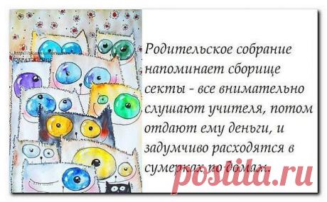 Новости
