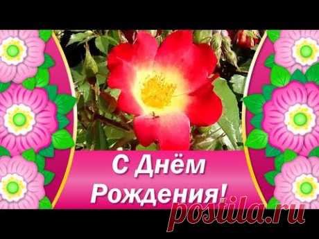 (12) Поздравления с Днем Рождения Женщине💐Пожелания с Днем Рождения🌸Красивые Цветы с Днем Рождения - YouTube