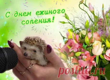 Это день ежиного сопения! Желаю уютного дня, побольше "фыр-фыр" и никакого "топ-топ"! Открытки на День ежиного сопения!