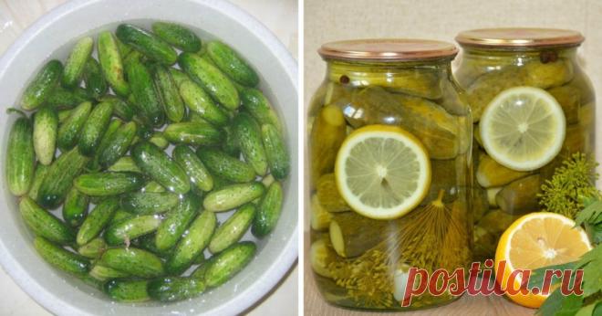 Greičiau išsisaugokite šį receptą, agurkų sezonas ne už kalnų! – Pukuotukas.com