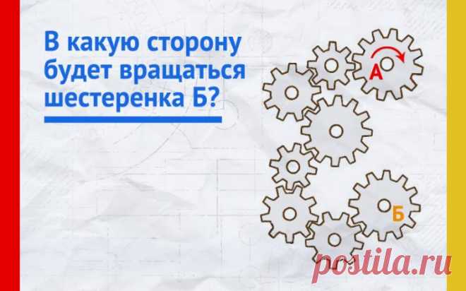В какую сторону будет вращаться последняя шестеренка?