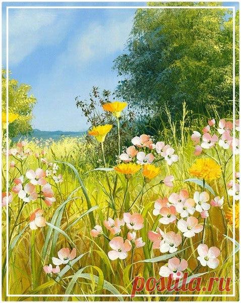 (18) Мой Мир@Mail.Ru