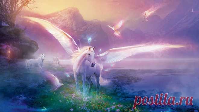 unicorn-18.jpg (1920×1080)