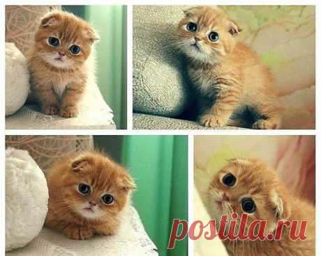 Мой Мир@Mail.Ru
