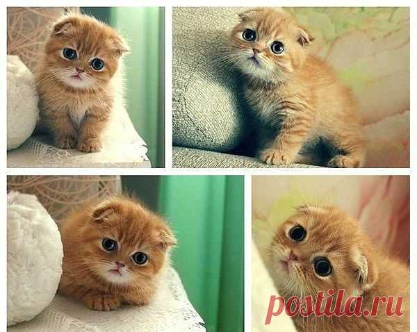 Мой Мир@Mail.Ru