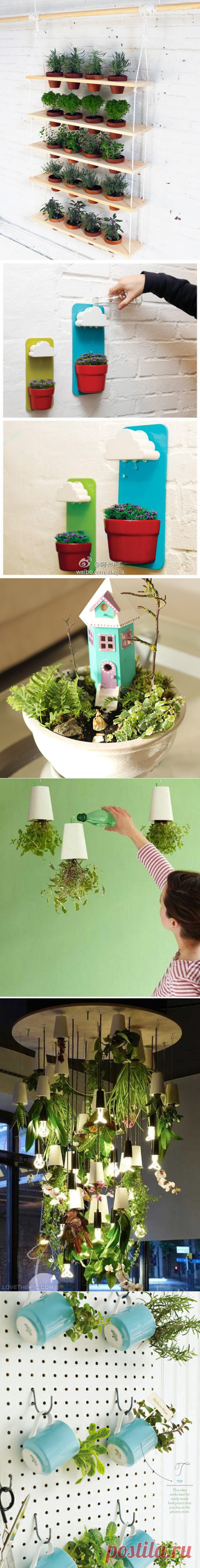 Indoor Herb Garden Ideas - Pioneer Settler | Homesteading | Self Reliance | Recipes