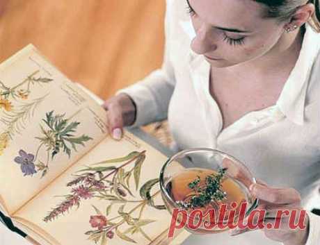 Как избавиться от жировика в домашних условиях. Причины