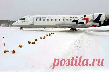 Пассажирский самолет выкатился за пределы взлетной полосы в российском аэропорту. Направлявшийся в Архангельск российский самолет выкатился за пределы взлетной полосы в Мурманске и не смог взлететь. Уточняется, что инцидент произошел в понедельник, 6 марта, в 08:08 по Москве. Известно, что он случился с пассажирским лайнером отечественной авиакомпании «Северсталь».