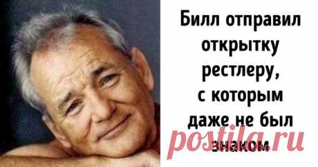 17 фактов о Билле Мюррее, который может превратить в комедию что угодно . Милая Я