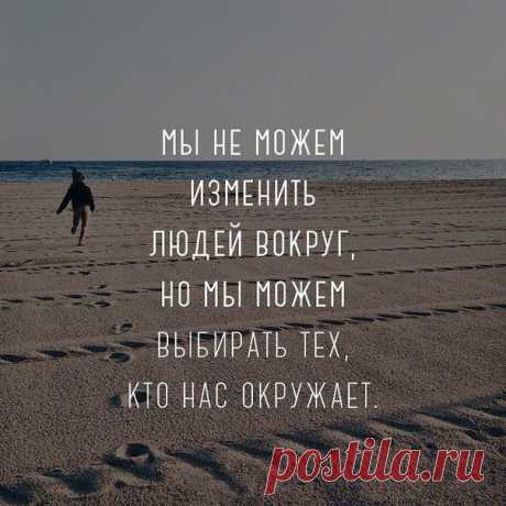 Правда Жизни | Юмор, Мотивация, Сарказм, Цитаты