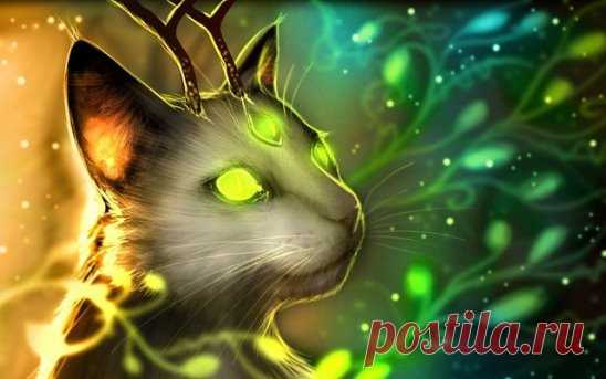 *Кошка — магическое животное* 
Кошка — одно из самых магических животных на земле. Аура ее настолько велика, что охватывает не только конкретного человека, но и его семью, дом и территорию, которую кошка считает своей. Поэтому нужно понимать, что когда кошка трется о ваши ноги, то она не только ластится, пытаясь добиться своего, это значит ещё и то, что она делится с вами своей магической, астральной силой. Тот же, кто отталкивает в этот момент кошку, говоря ей «пошла вон, не до тебя», просто-н