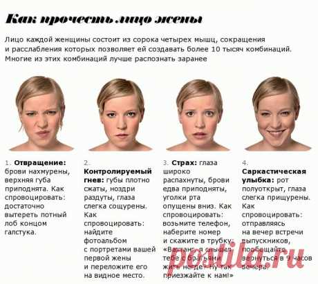Физиогномика лица в картинках (26 фото) ⭐ Забавник