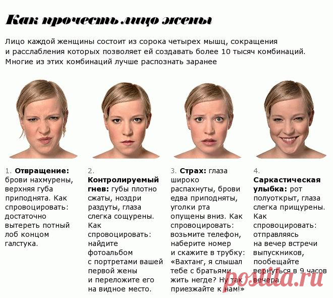Физиогномика лица в картинках (26 фото) ⭐ Забавник