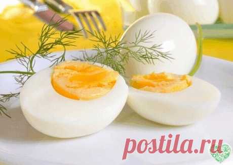 ЕСЛИ НАДО СРОЧНО ПОХУДЕТЬ..
Яичная диета
Знаете ли вы, что продуманная до мелочей система питания поможет быстро похудеть на 10 кг всего лишь за 2 недели. Этот метод похудения идеален – если нужно срочно похудеть! Не используй его дольше – может быть сильная потеря веса
На такой диете не придется голодать: яйца и правда очень сытный продукт. Ознакомься с этим меню, тебе наверняка захочется похудеть при помощи данных продуктов…
Отказавшись от углеводов, ты сможешь быстро по...