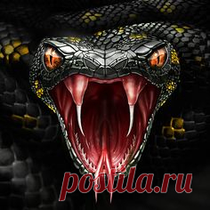 (19) Pinterest