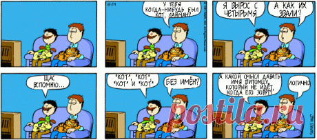 1980-08-24