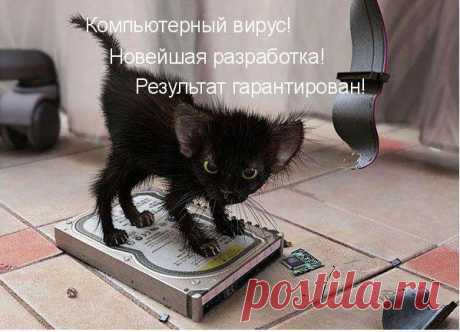 Интересные новости