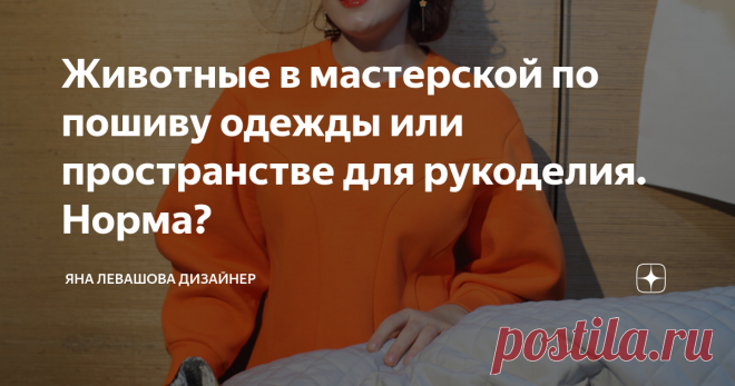 Животные в мастерской по пошиву одежды или пространстве для рукоделия. Норма? Может котики, сидящие с удовольствием на дорогой итальянской шерсти или шёлке, у кого-то и вызовут умиление :) Но не у меня, это однозначно. Хотя, я кошатница, у нас дома кот, но для рабочего пространства считаю это неприемлемым. На канале появилась рубрика #психология_шитья  Я вообще к домашним животным отношусь прекрасно, они наполняют радостью нашу повседневную жизнь, это спутники и компаньоны...