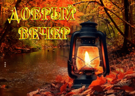Дружелюбная гиф-открытка, доброго и уютного вечера