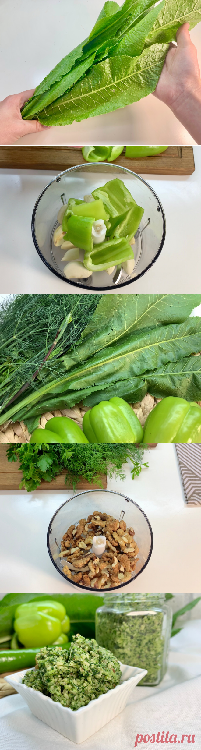 Готовлю раз и всегда держу наготове свою "отпадную" заготовку из листа хрена: и к мясу, и к рыбе, а можно и в суп добавить | Анна Юрагина | Простые рецепты | Яндекс Дзен